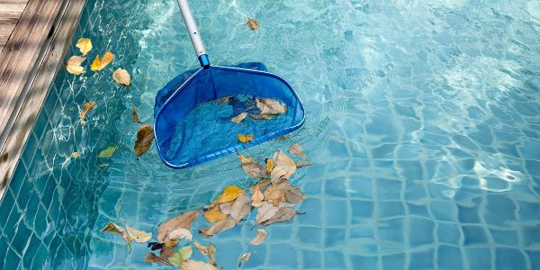 Aspen Pool 7 Reasons You Need to Clean Your Pool